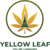 yellow-leaf